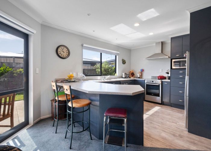  at 9 Malthus Place, Foxton Beach, Horowhenua, Manawatu / Whanganui