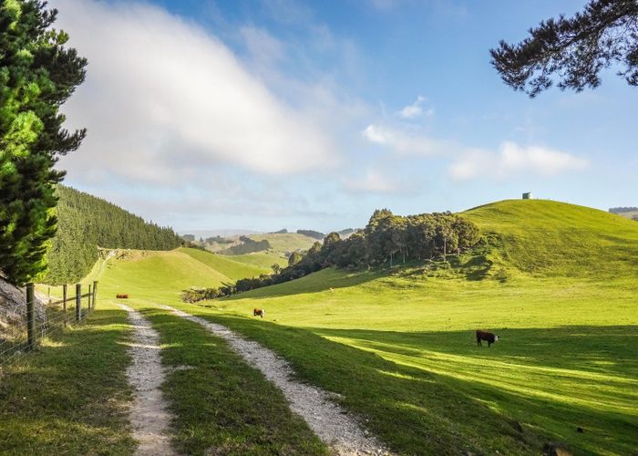  at 782 Glendhu Road, Greta Valley, Hurunui, Canterbury