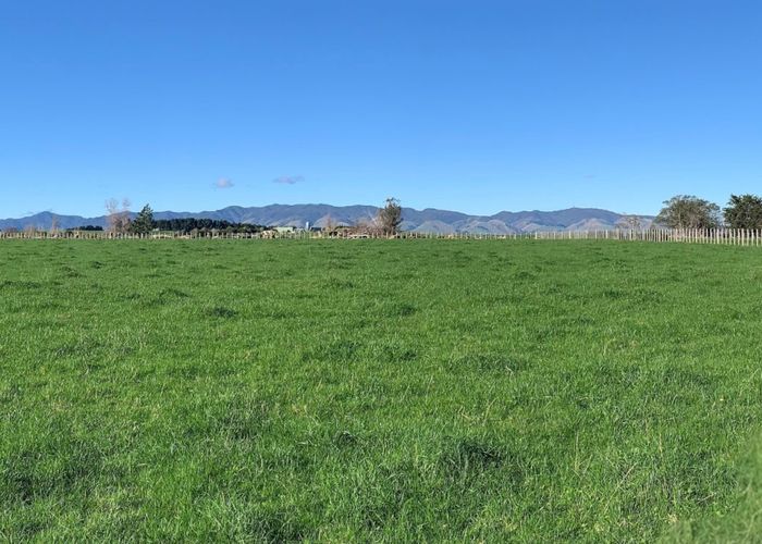  at Colyton, Manawatu, Manawatu / Whanganui