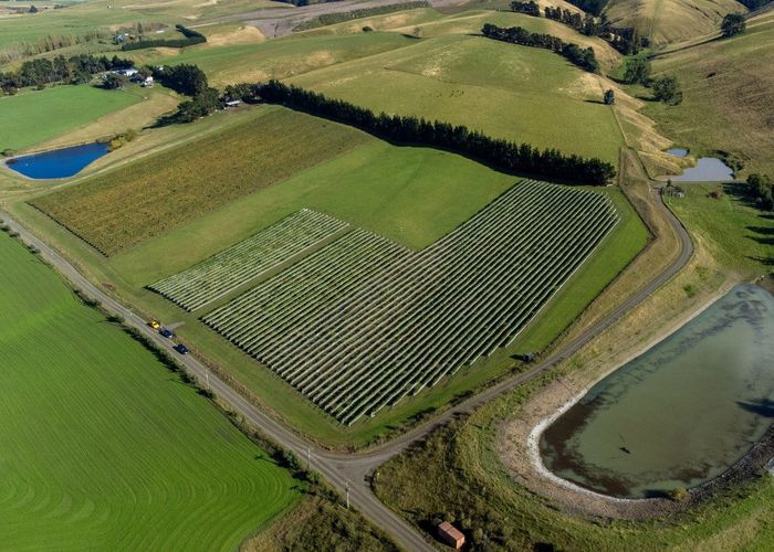  at 337 Mackenzies Road, Waipara, Hurunui, Canterbury