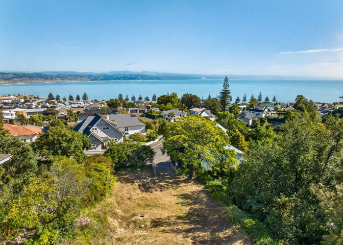  at 19 Coleman Terrace, Hospital Hill, Napier, Hawke's Bay