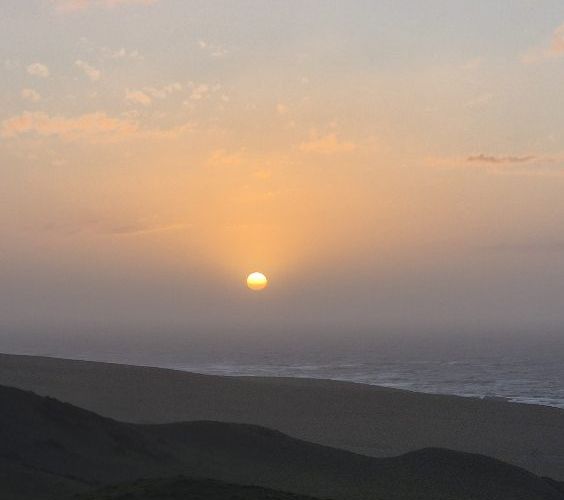  at Lot 1-3/546 Waitangi Tuku Road, Rongotai, Wellington, Wellington