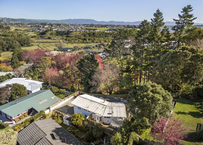  at 11 Graham Place, Bellevue, Tauranga, Bay Of Plenty