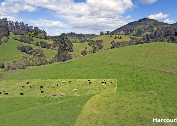  at 1311 Motueka Valley Highway, Ngatimoti, Tasman, Nelson / Tasman