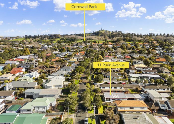  at 11 Puriri Avenue, Greenlane, Auckland