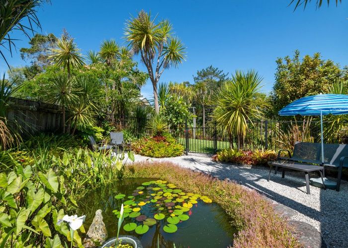  at 208 Albany Heights Road, Albany Heights, Rodney, Auckland