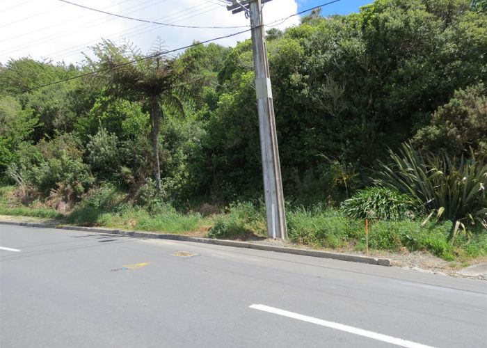 For sale 141 Ironside Road, Johnsonville, Wellington, Wellington homes.co.nz