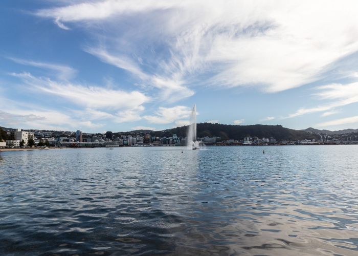  at 1B/274 Oriental Parade, Oriental Bay, Wellington, Wellington