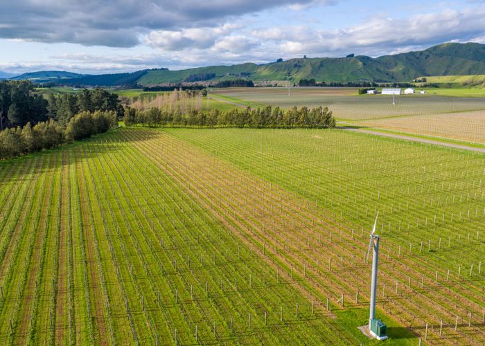 For sale 224 Te Muna Road, Martinborough, South Wairarapa, Wellington