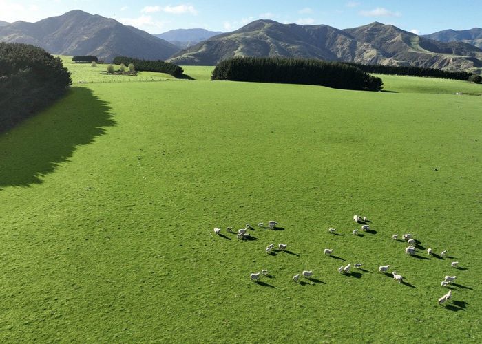  at 2057 Cape Palliser Road, Martinborough, South Wairarapa, Wellington