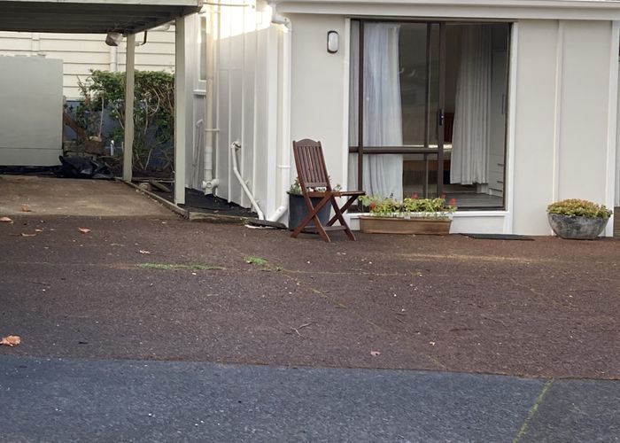  at 217B Mount Albert Road, Sandringham, Auckland City, Auckland