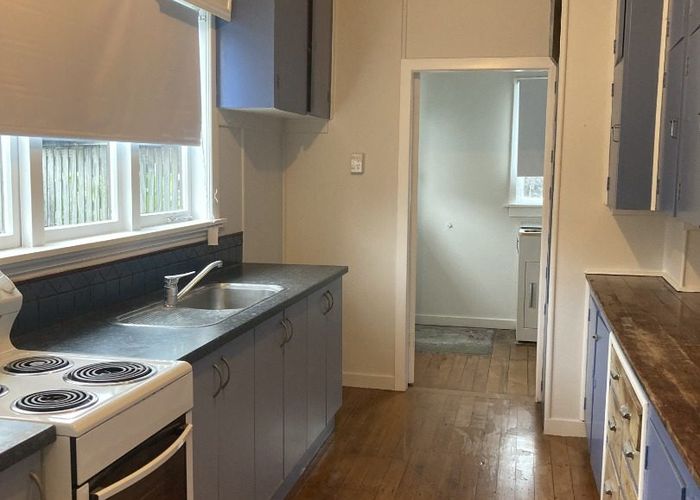  at 119 Rimu Street, Maeroa, Hamilton