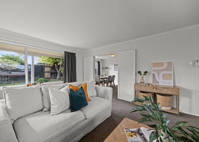  at 17 Caulfield Place, Awapuni, Palmerston North