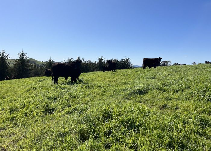  at 148 Tapui Homestead Road, Ngapara, Waitaki, Otago