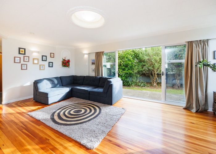  at 132 Limbrick Street, Terrace End, Palmerston North, Manawatu / Whanganui