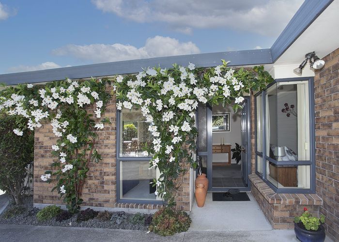  at 40B Grange Road, Otumoetai, Tauranga, Bay Of Plenty