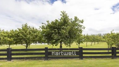  at 60 Hartwell Drive, Kelvin Grove, Palmerston North