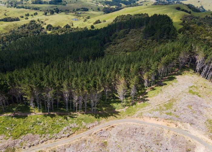  at 3716 KAIPARA COAST HIGHWAY, Kaipara Flats, Rodney, Auckland