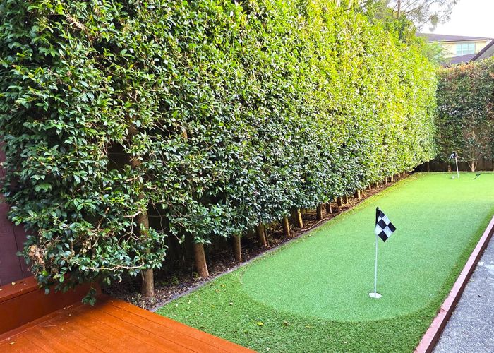  at 31 Corricvale Way, Northcross, North Shore City, Auckland