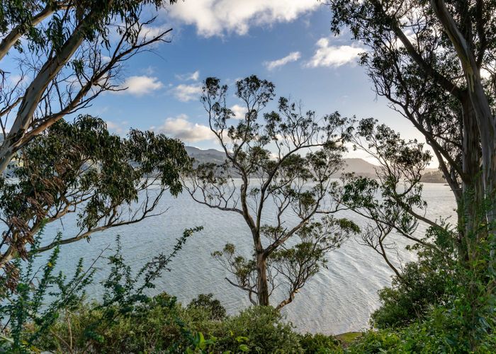  at 27 Marine Parade, Macandrew Bay, Dunedin