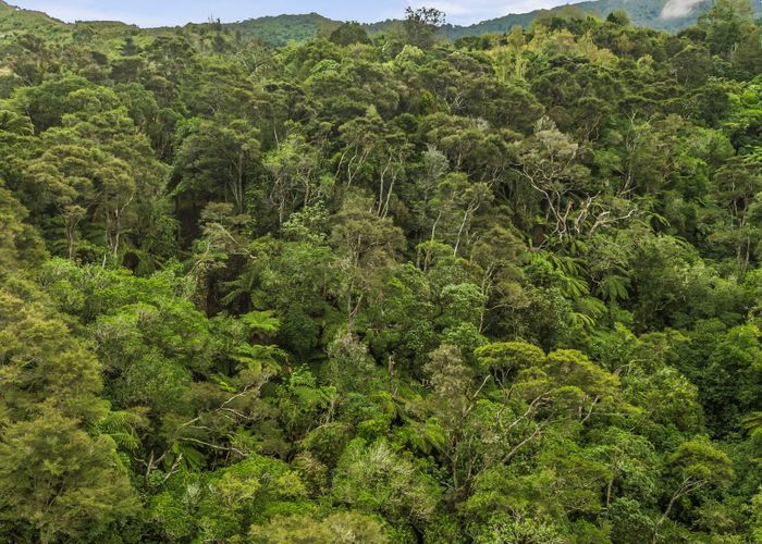  at Lot 1 43 Hawaiki Lane, Hira, Nelson, Nelson / Tasman