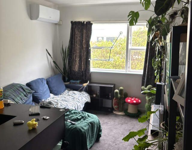 at 196b Hansen St, Newtown, Wellington, Wellington