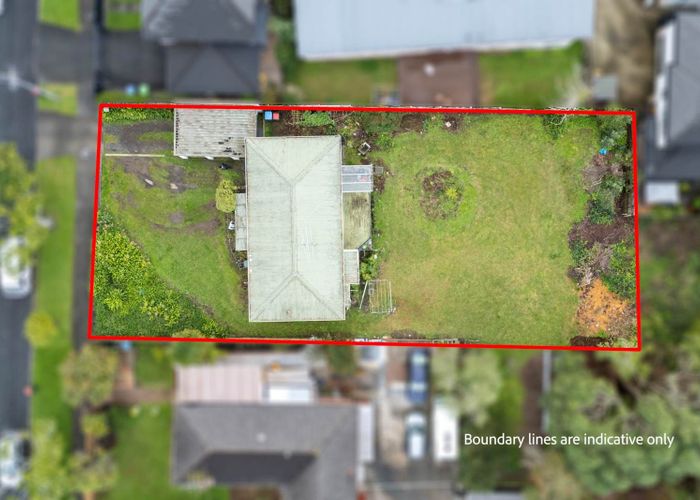  at 31 Holly Street, Avondale, Auckland City, Auckland