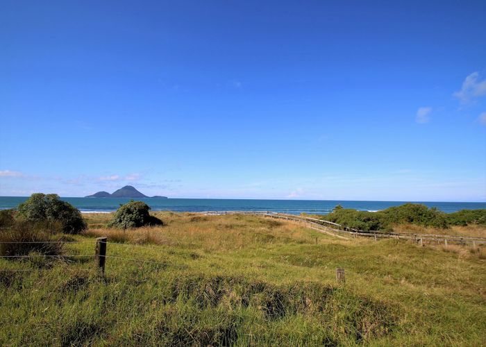  at Sections, Whakatane, Whakatane, Bay Of Plenty