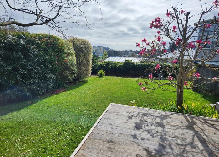  at 38 Campbell Street, Nelson South, Nelson, Nelson / Tasman