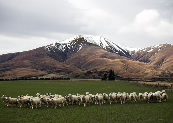 at 0 Shortlands Station, Kyeburn, Central Otago, Otago