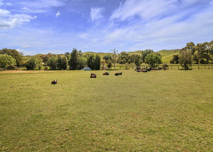  at 425 Raukawa Road, Raukawa, Hastings, Hawke's Bay