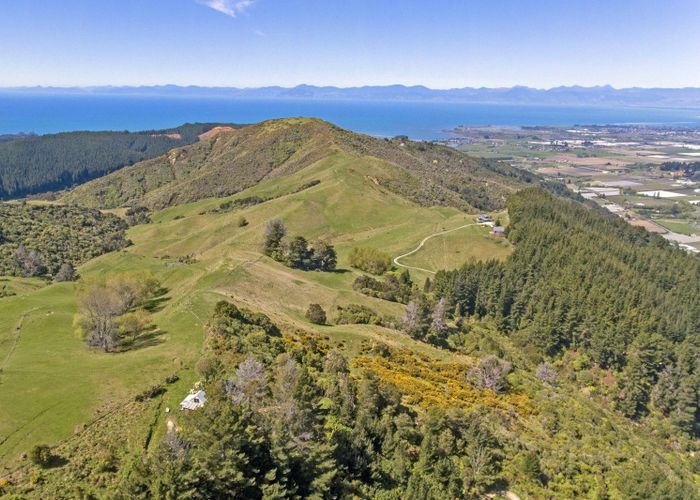 For sale Takaka Hill, Takaka, Tasman, Nelson / Tasman homes.co.nz
