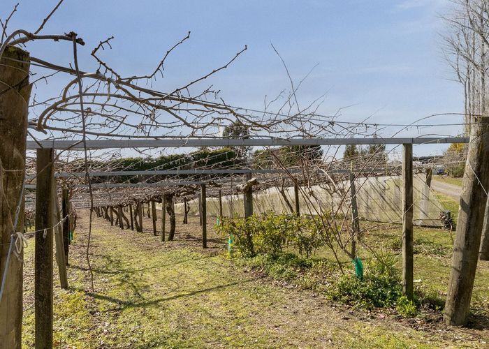  at 1164 No 3 Road, Te Puke, Western Bay Of Plenty, Bay Of Plenty