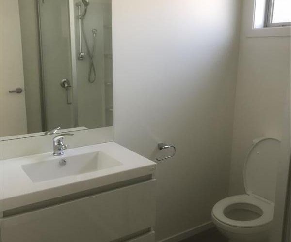  at Fairfield, Hamilton, Waikato