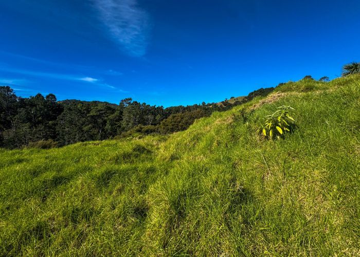 at 8 Te Mata Drive, Te Mata, Thames-Coromandel, Waikato