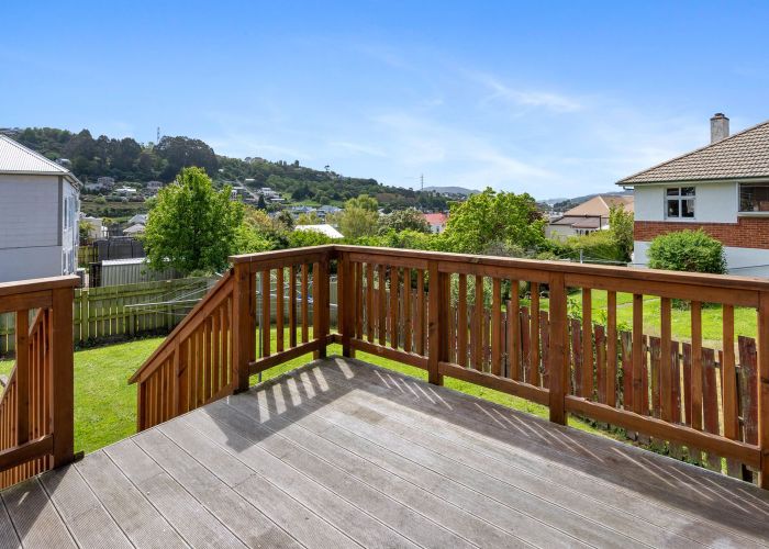  at 27 Peter Street, Caversham, Dunedin