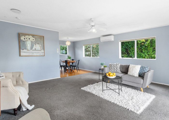  at 437 Mangateparu Loop Road, Mangateparu, Morrinsville