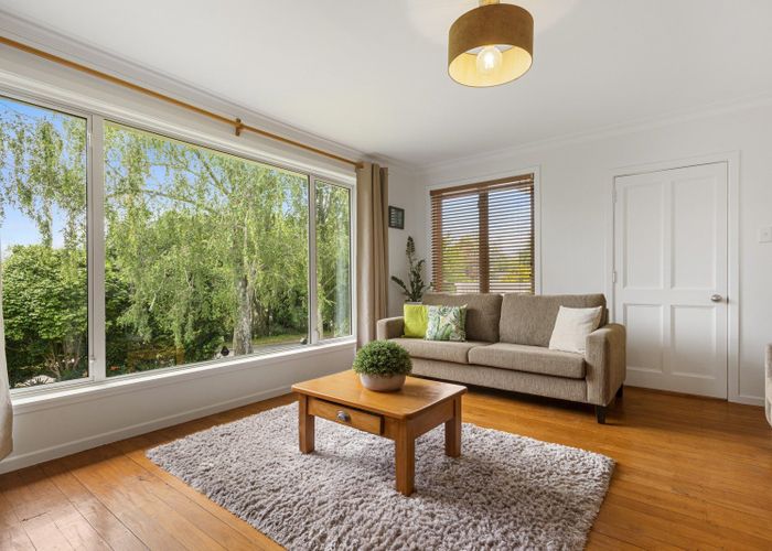  at 9 Scantlebury Street, Tauranga South, Tauranga