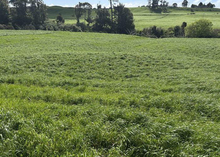  at 0pp/379 Corbett Road, Lepperton, New Plymouth, Taranaki