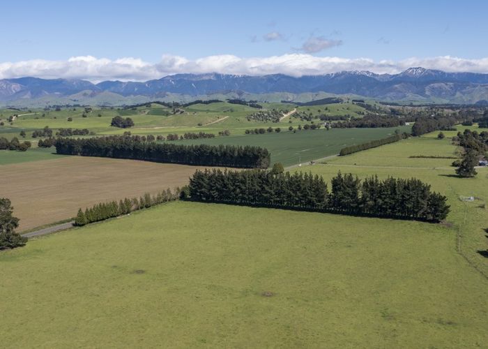  at 490 Tukituki Road, Ashley Clinton, Takapau