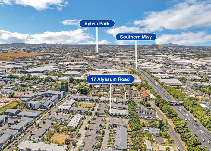  at 17 Alyssum Road, Mount Wellington, Auckland City, Auckland