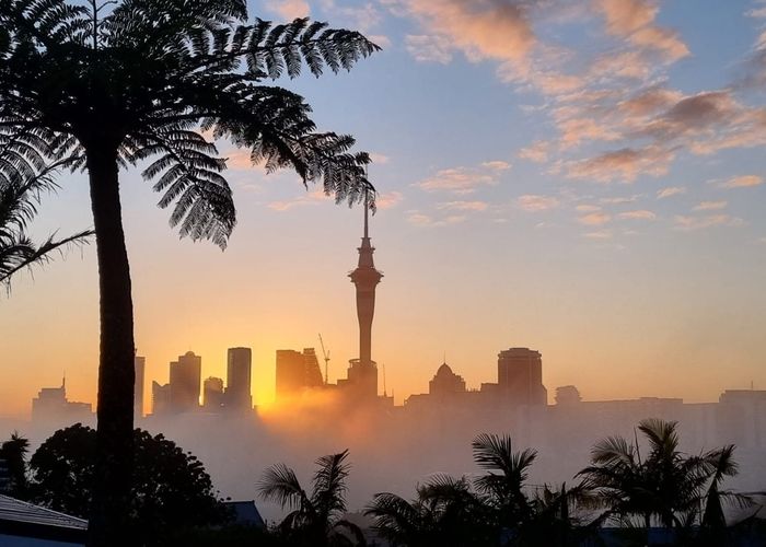  at 35 Franklin Road, Ponsonby, Auckland City, Auckland