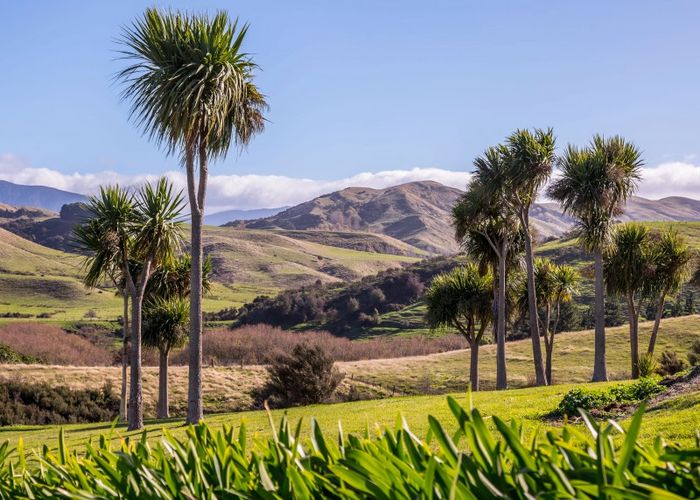  at 76 Jacksons Line, Kopuaranga