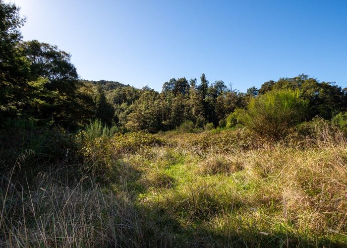  at 555 Upper Buller Gorge Road, Murchison, Tasman, Nelson / Tasman