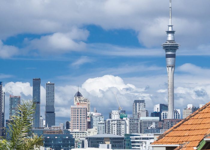  at 8 Amiria Street, Saint Marys Bay, Auckland City, Auckland