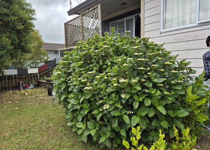  at 32 Armada Drive, Ranui, Waitakere City, Auckland