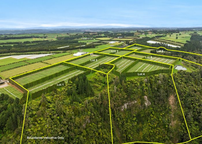  at Lot 3/1010 Te Matai Road, Te Puke, Western Bay Of Plenty, Bay Of Plenty