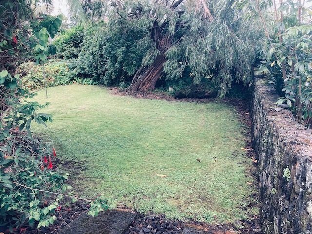  at 3/25 Pentland Ave, Mount Eden, Auckland City, Auckland