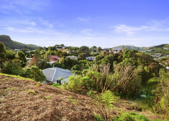  at 58D Lincoln Avenue, Tawa, Wellington, Wellington