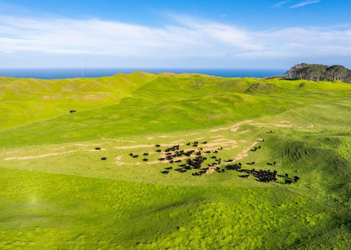  at Pinaki Road, Dargaville, Kaipara, Northland